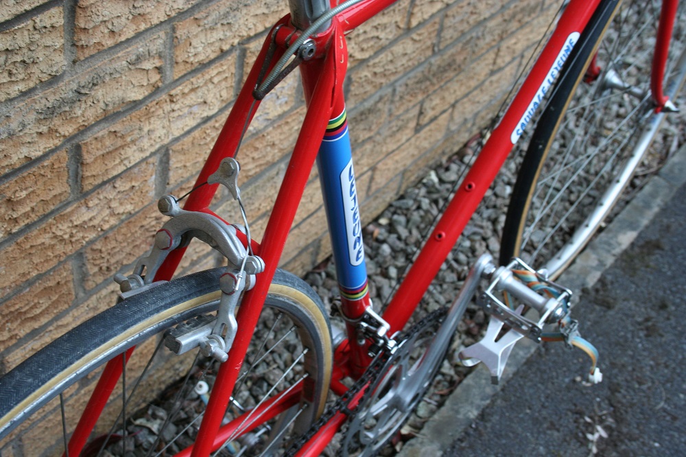 Sticker vélo fleurs sauvages multicolores