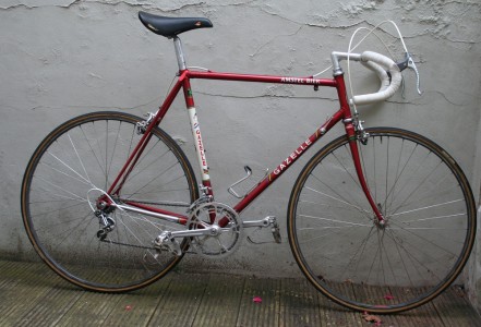 1984 Gazelle Champion Mondial - Classic Factory Lightweights